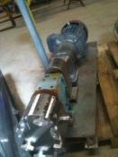 Picture_765.jpg
